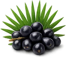 Faluron — saw palmetto (Sabal serrulata) extract